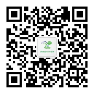 888集团电子游戏(中国游)有限公司官网